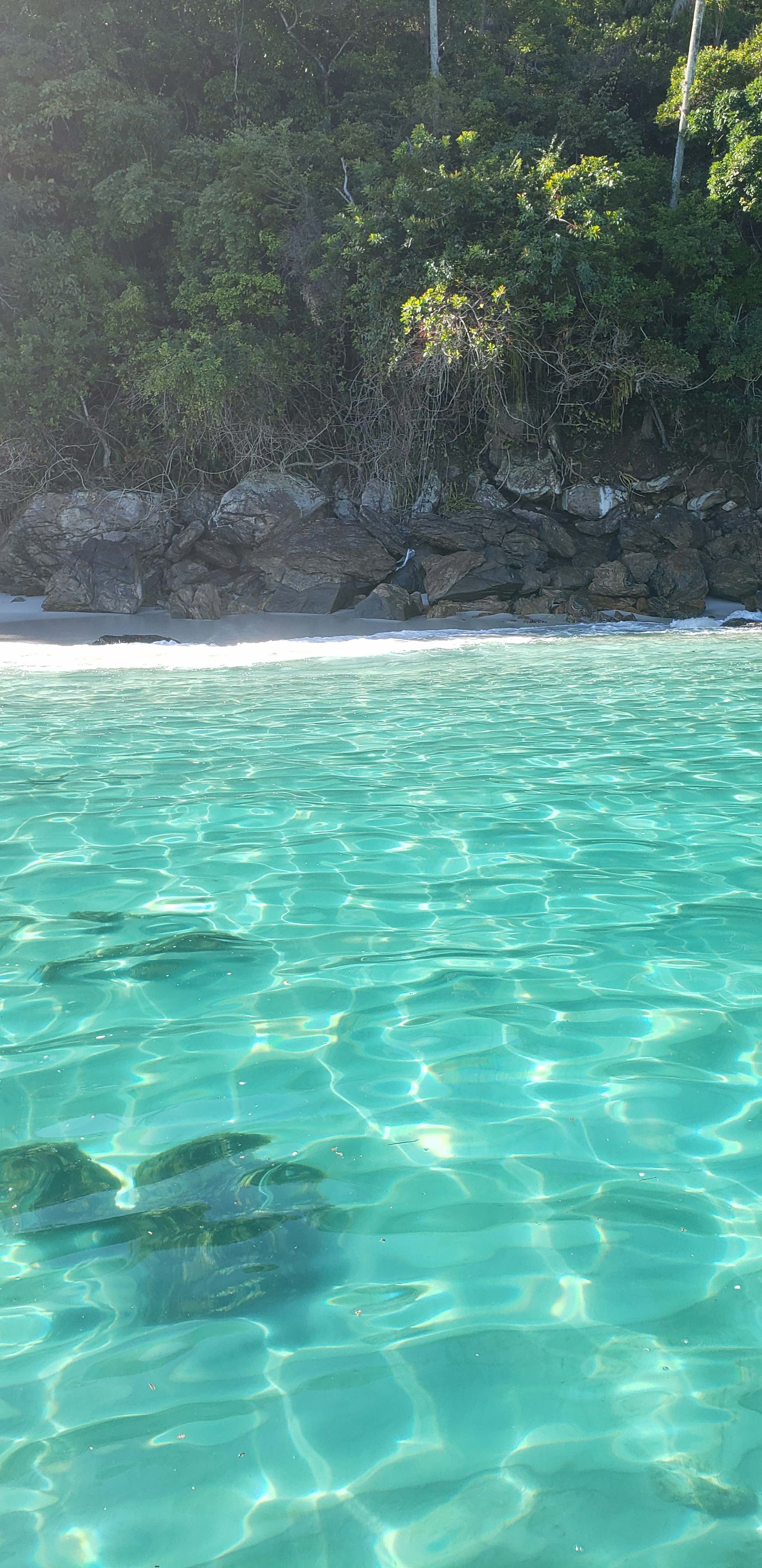 5 fotos em movimento Passeios (3).jpg